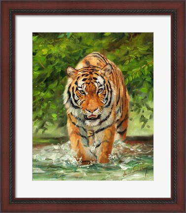Framed Tiger On The Prowl Print