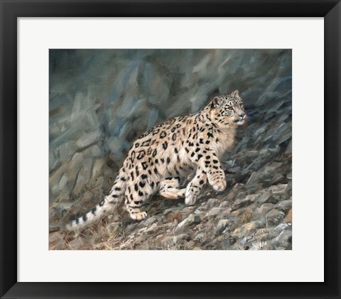 Framed Snow Leopard Climbing Up Print