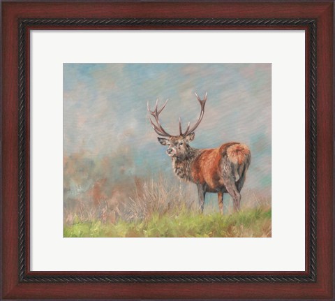 Framed Red Deer Stag From Behind Print