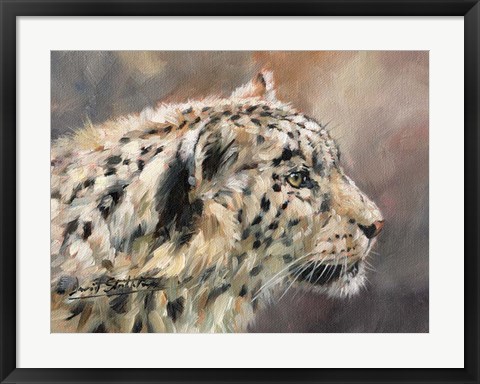 Framed Snow Leopard 86 Print