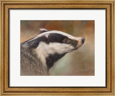 Framed Badger Study Print