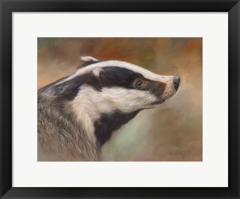 Framed Badger Study Print