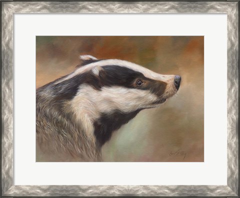 Framed Badger Study Print