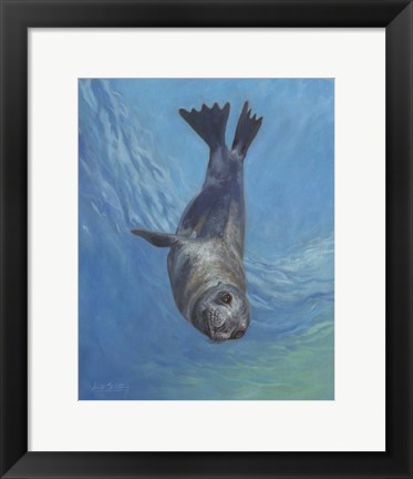 Framed Sealion Hello Print