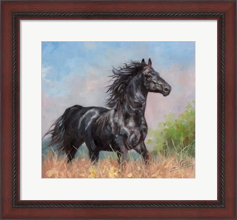 Framed Black Horse Print