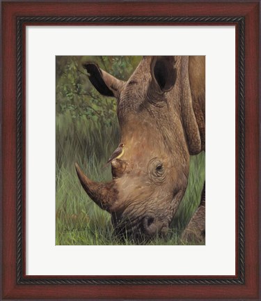 Framed Rhino And Oxpecker Bird Print