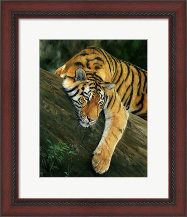 Framed Tiger Tree Branch Print