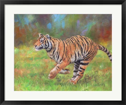 Framed Tiger Running Print