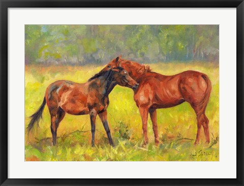 Framed Horse Love Print