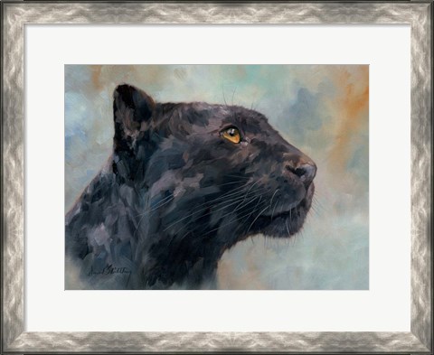 Framed Panther Gaze Up Print