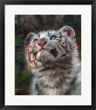 Framed White Tiger Cub Portrait Print