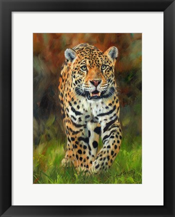 Framed Jaguar Walk Print