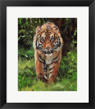 Framed Tiger Prowling Print