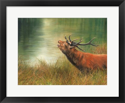 Framed Stag Call Print