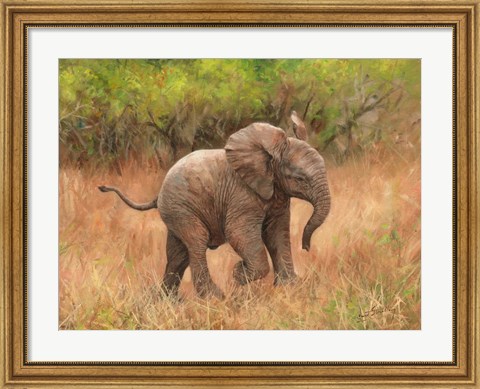 Framed Baby African Elephant Print