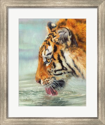 Framed Tiger Drinking Print