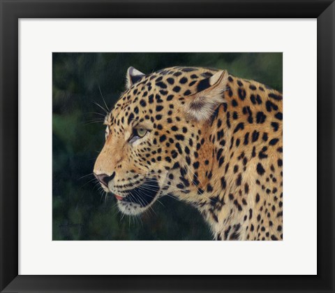 Framed Leopard Head Side Print