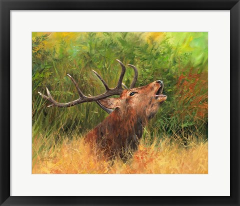 Framed Red Deer In Field Print