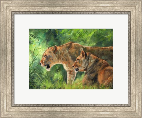 Framed Lionesses Print
