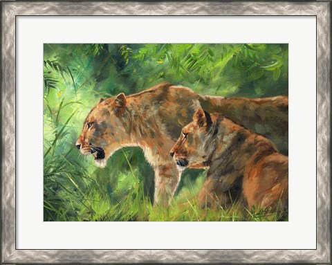 Framed Lionesses Print