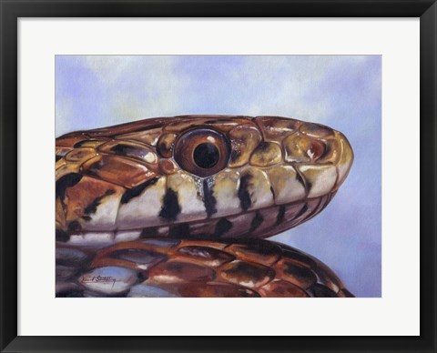 Framed Snake Print