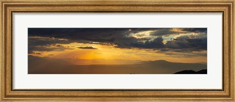 Framed Mammoth And Ancient Bristlecone 2 Print