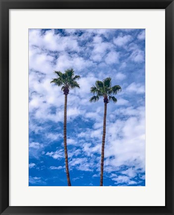 Framed Palms &amp; Blue Skies Print