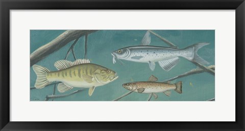 Framed Fresh Catch III Print