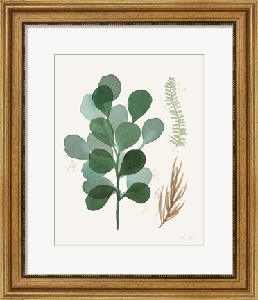 Framed Leaf and Stem II Print