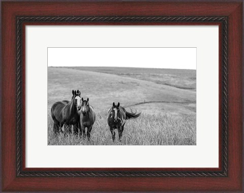 Framed Montana Moves Print