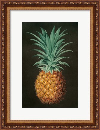 Framed Vintage Pineapple II Print
