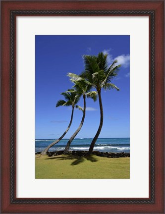 Framed Palm Trees on the Coast Of Hauula Print