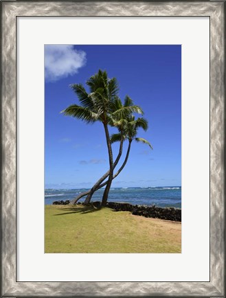 Framed Palm Trees on the Coast Of Hauula, Oahu, Hawaii Print