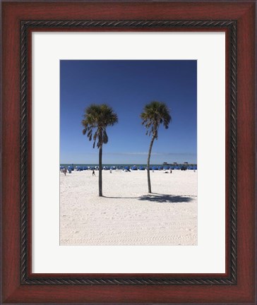 Framed Palm Trees, Clearwater Beach, Florida Print