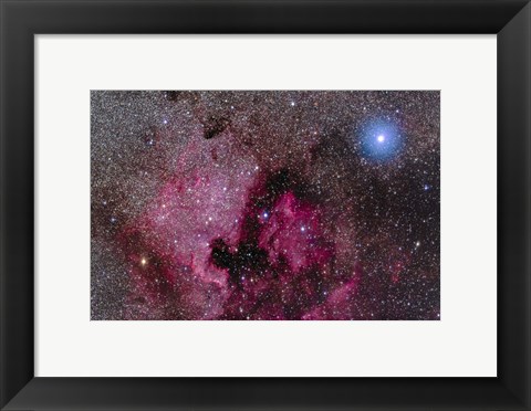 Framed North America Nebula Near Teh Bright Blue-White Star Deneb Print