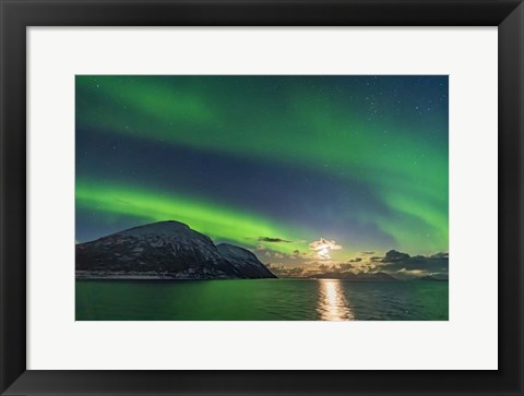 Framed Auroral Curtains Along the Norwegian Coast Print