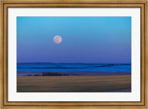 Framed Rising Full Moon Over the Alberta Prairie Print