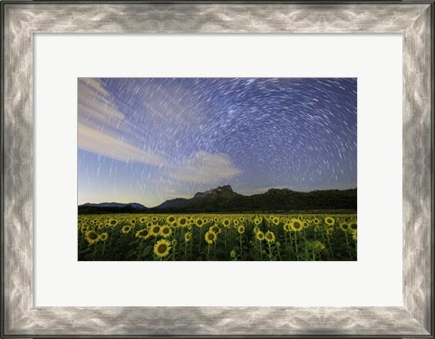 Framed Star Trails Among the Passing Clouds Above a Sunflower Filed Near Bangkok, Thailand Print