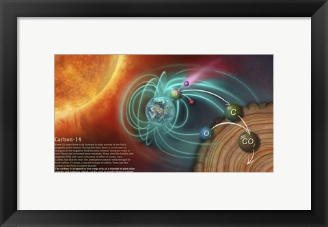 Framed Illustration Depicting the Creation of Carbon-14 and How It Becomes Locked in Tree Rings Print