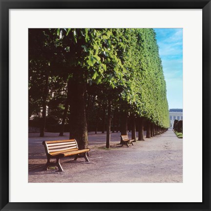 Framed French Jardin No. 9 Print
