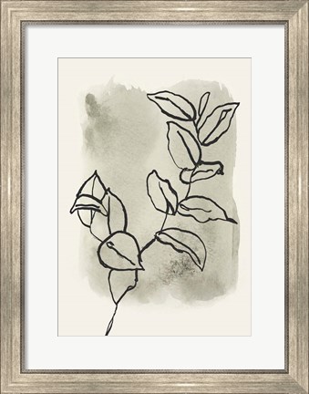 Framed Branch Sketch Print