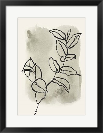 Framed Branch Sketch Print