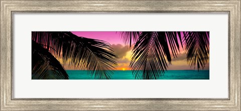 Framed Sun Palms Print