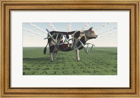 Framed GMO Business Cow Print