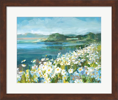 Framed Wild Daisy Bay Print