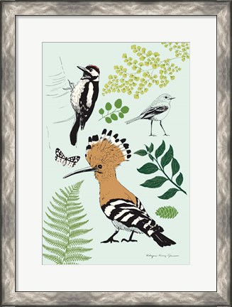 Framed Nature Chart II Print