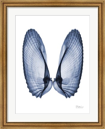 Framed Angel Wings Print