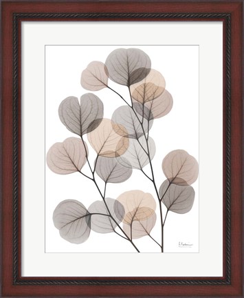 Framed Earthy Eucalyptus Bunch Print