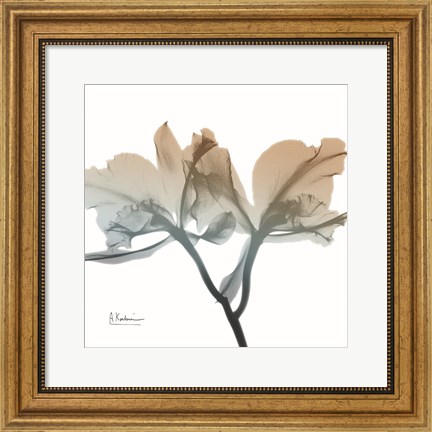 Framed Earthy Orchid Print