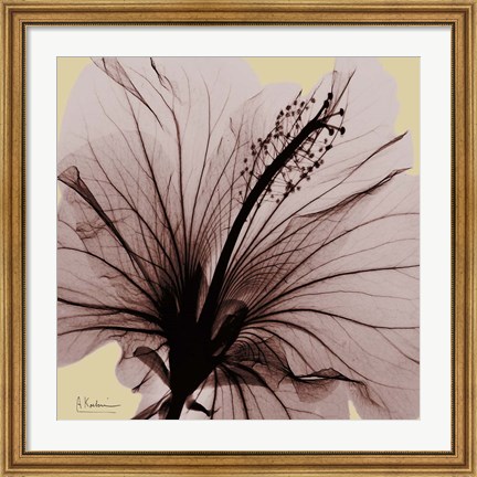 Framed Spring Hibiscus Print